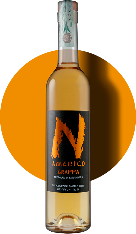 grappa barricata Americo