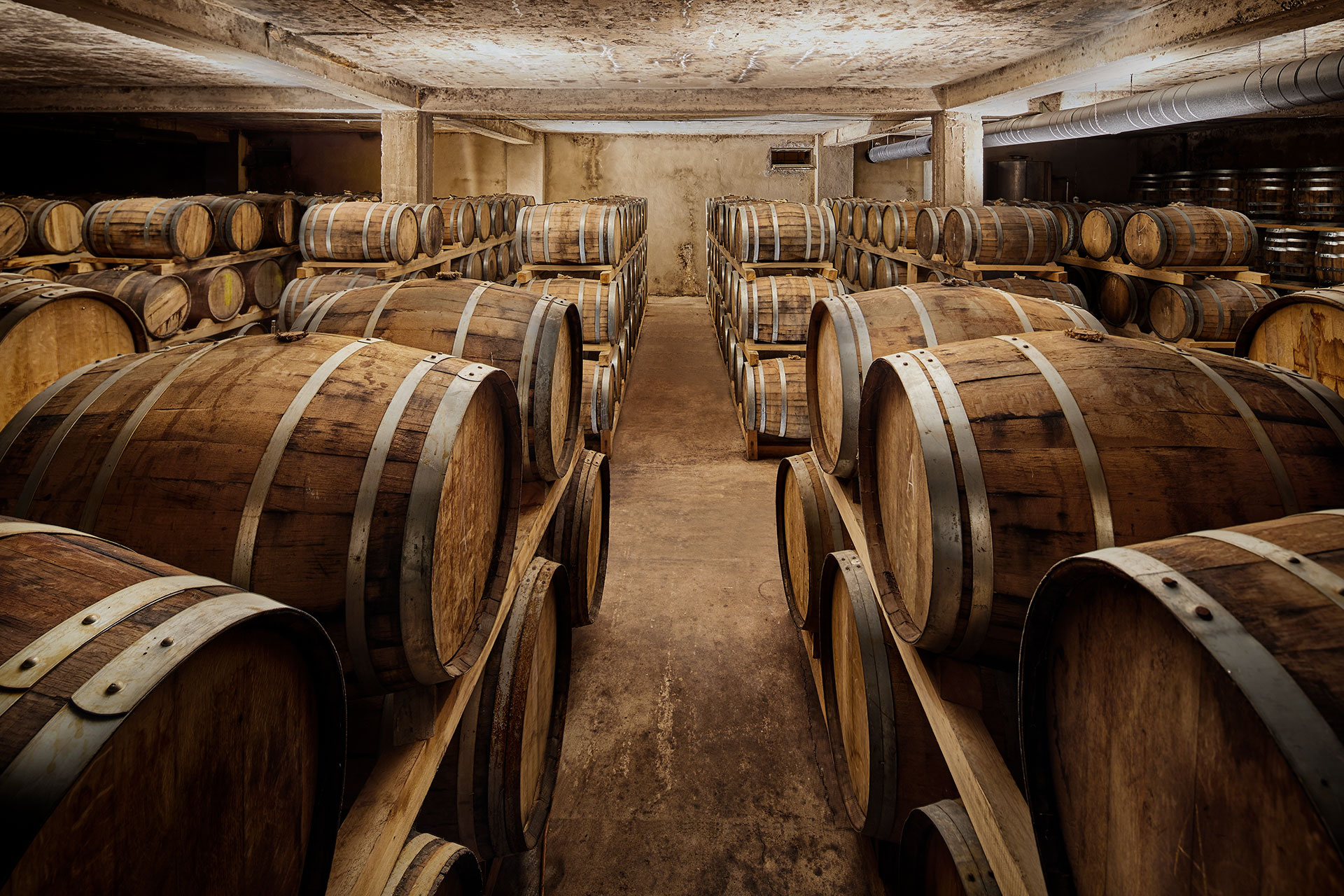 fermentazione malolattica vino