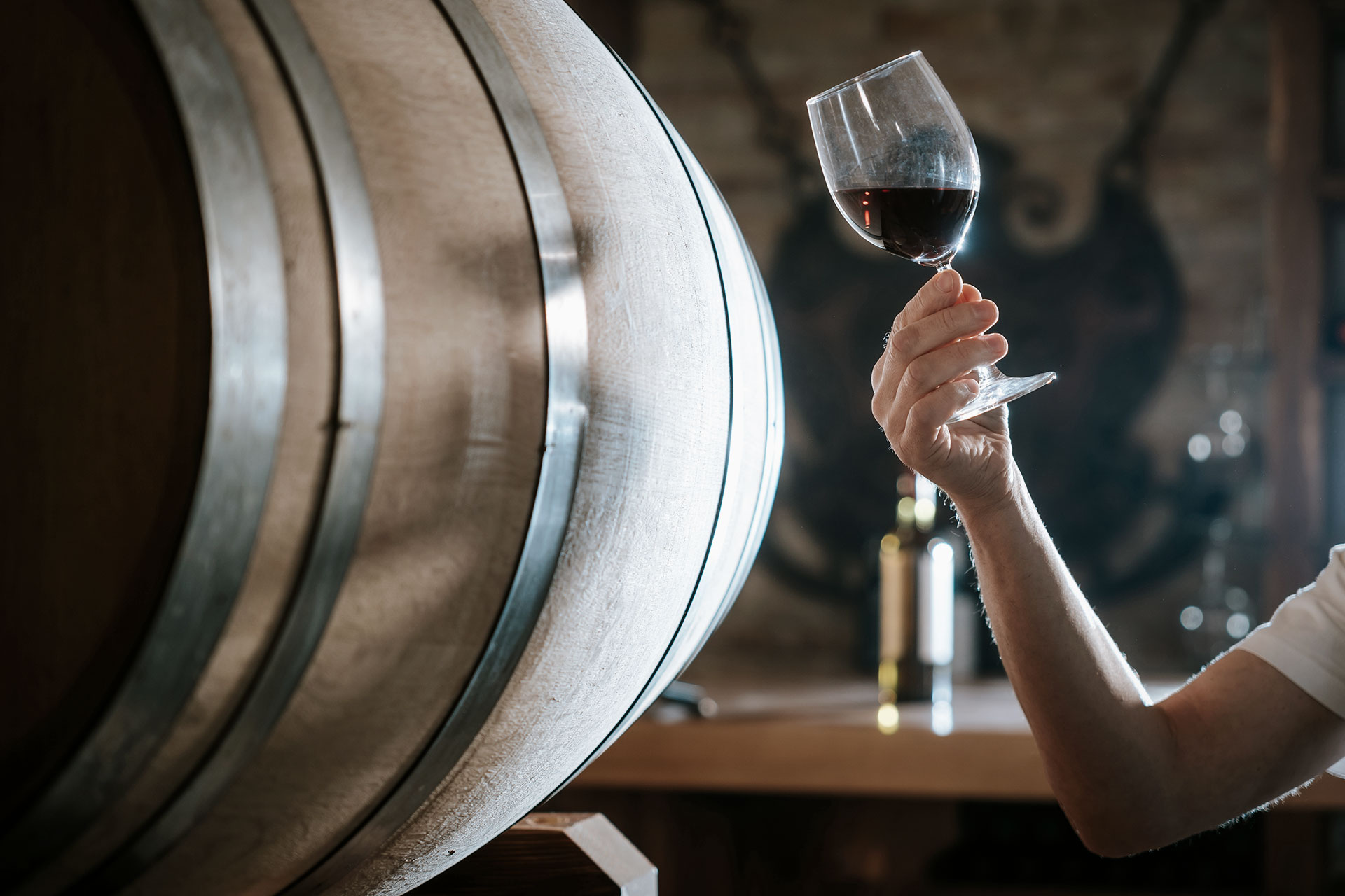 degustazione vino cantina