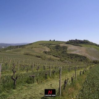 Oggi è la 50esima GIORNATA DELLA TERRA. Noi, da oltre 70 anni, ci prendiamo cura del nostro pezzetto di Pianeta: lo assistiamo con PASSIONE per vederci restituito il suo frutto, il nostro #VINO. 🌎🌱🍇 Il RISPETTO PER LA NATURA va insieme all'IMPEGNO PER L'AMBIENTE in ogni fase della nostra produzione. Abbiamo recuperato l'antico centro aziendale, lo abbiamo restaurato con materiali locali, ecologici, naturali e riciclabili e tecniche a basso impatto ambientale. Tutto il consumo elettrico oggi è interamente garantito da un IMPIANTO FOTOVOLTAICO. 🌎🌱🍇 Per la TUTELA DEL PAESAGGIO e nel RISPETTO DELLA VITE abbiamo adottato la tecnica di potatura Simonit&Sirch che prolunga la vita dei ceppi. Un sistema di GEOLOCALIZZAZIONE IN VIGNA ci permette di conoscere stato e necessità fisiologiche delle viti e così di intervenire in maniera mirata. 🌎🌱🍇 Da sempre utilizziamo un sistema agricolo a BASSO IMPATTO AMBIENTALE, difendiamo le coltivazioni limitando l'impiego di fitofarmaci, non effettuiamo il diserbo chimico per il controllo delle infestanti e diamo nutrimento al suolo con la semina e il sovescio delle leguminose. 🌎🌱🍇 Ognuno deve fare la sua parte, questo crediamo. Noi lo facciamo. 📷 Gianni Fantauzzi • #earthday #giornatadellaterra #cantineneri #andràtuttobene #fiviorvieto #fivi