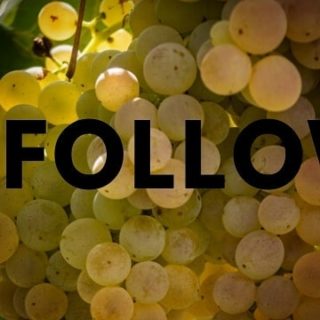G R A Z I E a tutti gli amici e le amiche, oggi tantissimi, che seguono il nostro lavoro. • Venite a scoprire i nostri prodotti 👉🏼 link in bio • Salute a tutti! 🍷🥂🍾 • #cantineneri #winetime #winetasting #winelover #fivi #fiviorvieto #viniitaliani🇮🇹🍷🍷🍷🍷🍷 #followers #grazie