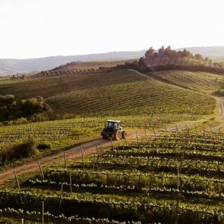 Il prossimo weekend del 22 e 23 maggio apriamo le porte in occasione di “VIgneti Aperti” evento promosso dal Movimento Turismo del Vino. Esclusivamente su prenotazione, proponiamo  visite e degustazioni per trascorrere una giornata conviviale all’aria aperta in sicurezza e con tutto il gusto della tradizione umbra. . Per info e Prenotazioni contattaci al 📲 3933313844 (anche whatsapp), ☎️ 0763 316196 📧 visite@neri-vini.com o sui nostri canali social.🥂Vi aspettiamo!#vignetiaperti #vignetiaperti2021 #vignetiapertiumbria #visitumbria #orvieto #visitorvieto #umbriatourism #umbriaexperience #weekend #winelover #winelovers #winetasting