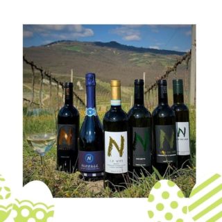 Sai perché la selezione di vini nel nostro 🌼 BOX DI PRIMAVERA 🌼 è perfetta per il tuo PRANZO IN CASA DI PASQUA?
🥂Per l'antipasto scegli il nostro CA'VITI Orvieto Classico superiore
🥂Il nostro VARDANO Grechetto si abbinerà benissimo a primo e secondo
🍾 Per i dolci niente di meglio delle bollicine del nostro BARRAGE
.
SCOPRI I DETTAGLI DELL'OFFERTA 👉 💻 bit.ly/NeriBoxPrimavera📱 WHATSAPP 393.3313844
.
🚛 CONSEGNA GRATUITA

#cantineneri #boxdiprimavera #pasqua #andràtuttobene #iorestoacasa #winetasting #winelover #fiviorvieto #iloveumbria #instawine #winetime #easter #fivi